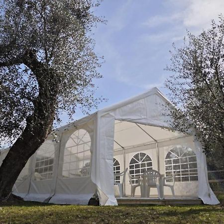 Appartamento Alba Dachi Farm Andora Exterior photo